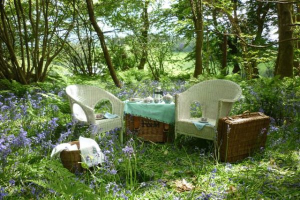 afternoon tea picnic